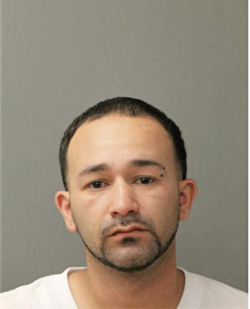 ADRIAN J NIEVES, Cook County, Illinois