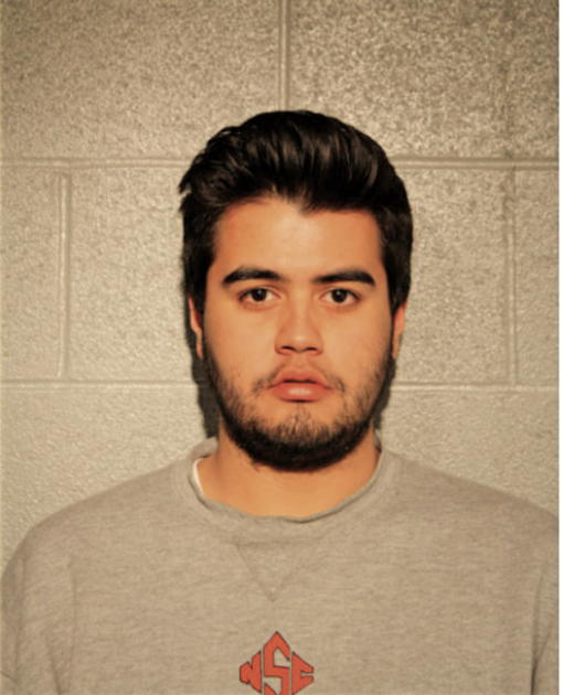 DARIO R RODRIGUEZ, Cook County, Illinois