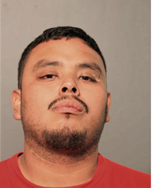 APOLINAR SOTELO, Cook County, Illinois