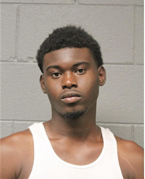 ANDRE J STEPHENS, Cook County, Illinois