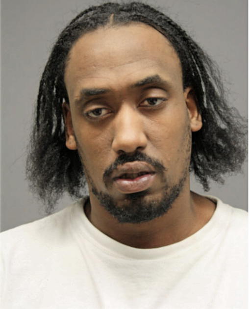 STEVYN M TRICE, Cook County, Illinois