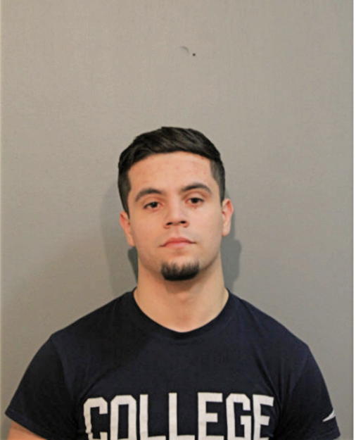 JOVANNY D TRINIDAD, Cook County, Illinois