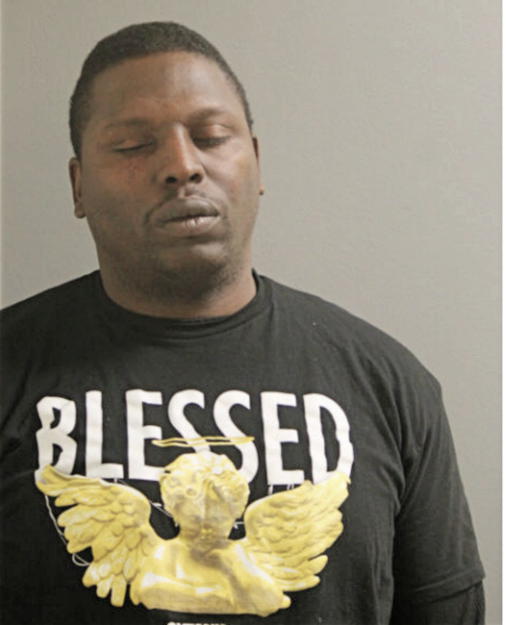 MICHAEL L VESEY, Cook County, Illinois