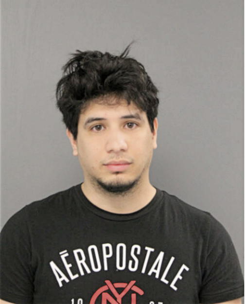 ROY F ARIAS, Cook County, Illinois