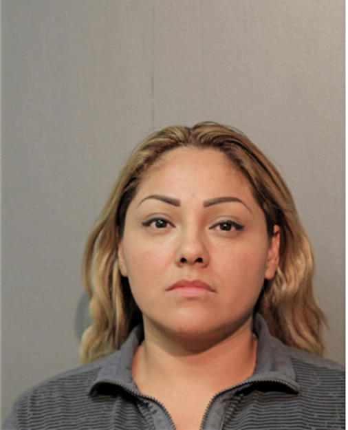 MARTHA C BRINDIS HERNANDEZ, Cook County, Illinois