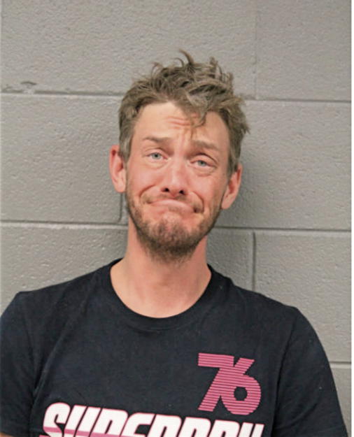 MATTHEW W DIBELIOUS, Cook County, Illinois