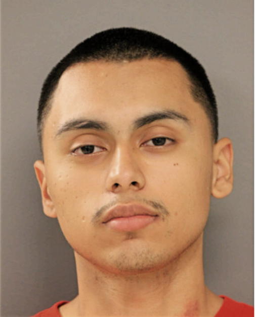 RICHARD M FLORES, Cook County, Illinois