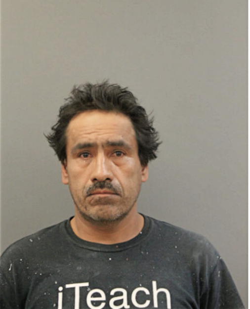 JOSE M GUILLERMO, Cook County, Illinois