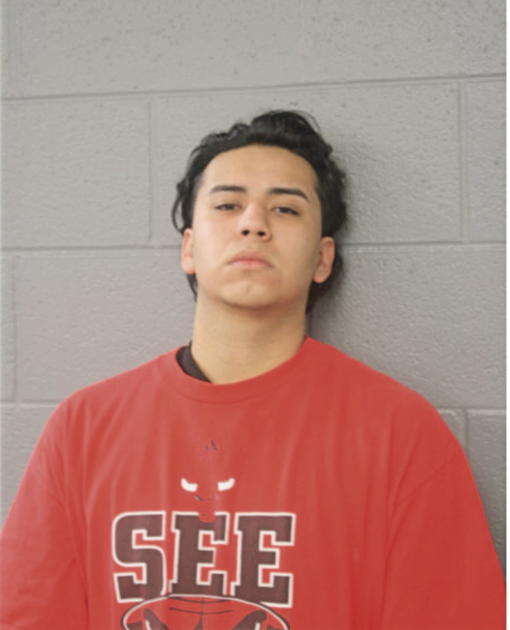 DIEGO HEREDIA, Cook County, Illinois