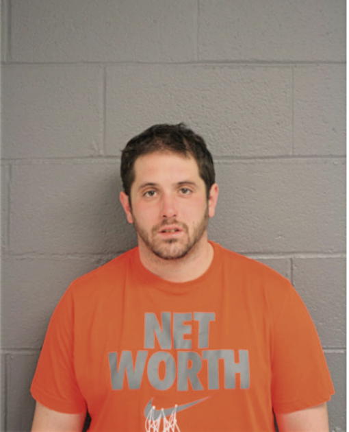 MICHAEL E HERMANOWSKI, Cook County, Illinois