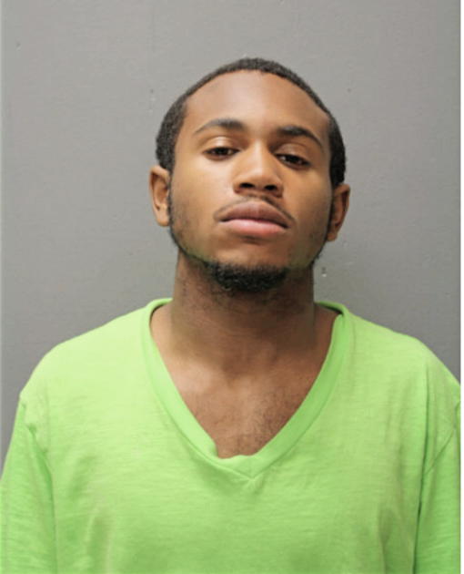 NATHAN L HILL, Cook County, Illinois