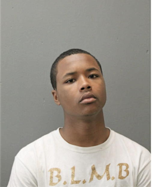 DERRELL L JOHNSON, Cook County, Illinois