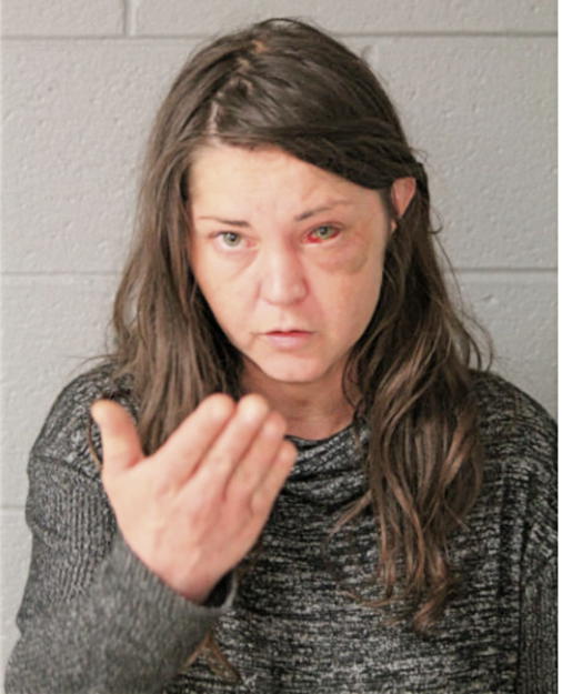 MARTA H KLIMAS, Cook County, Illinois