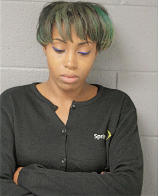 BRITTENY L LEWIS GREEN, Cook County, Illinois