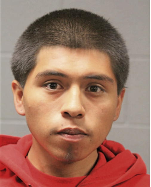 HUGOCESAR MARIANO, Cook County, Illinois