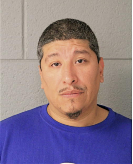 GUADALUPE T MARTINEZ, Cook County, Illinois