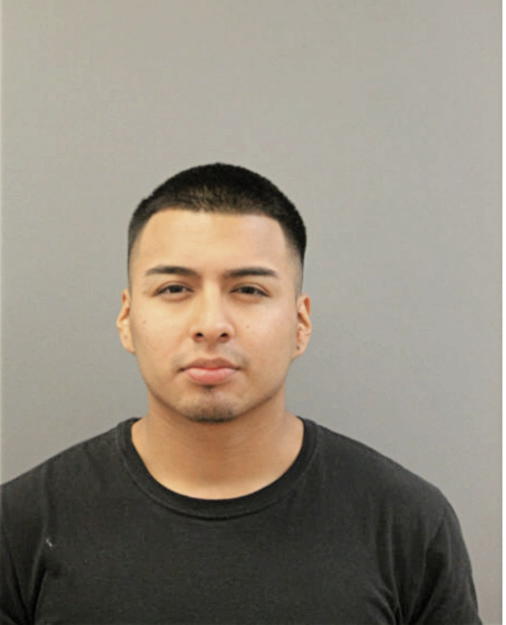 RUBIEL R MENDIOLA, Cook County, Illinois