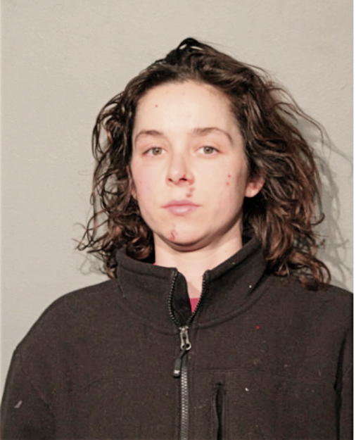 KATHERINE L PACULT, Cook County, Illinois
