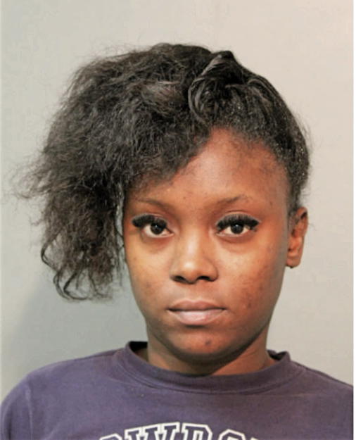 JENNIFER M PALMER, Cook County, Illinois