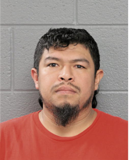 IGNACIO PEREZ-PELAEZ, Cook County, Illinois