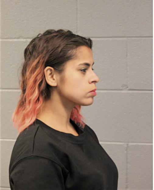 JACLYN F REYES-FALLON, Cook County, Illinois