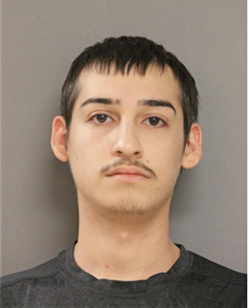 PORFIRIO B RODRIGUEZ, Cook County, Illinois