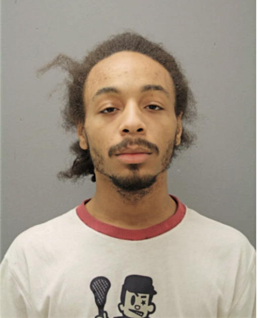 CHARLES E SPEARS, Cook County, Illinois