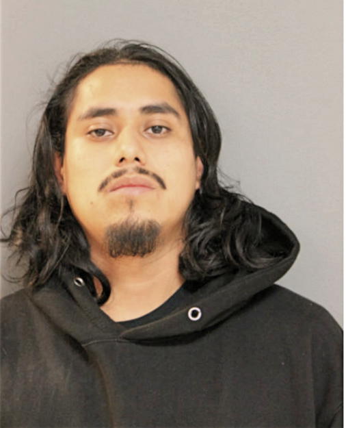 VLADIMIR ZEPEDA, Cook County, Illinois