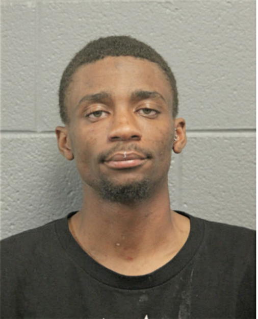 KAMERON D ALSTON, Cook County, Illinois