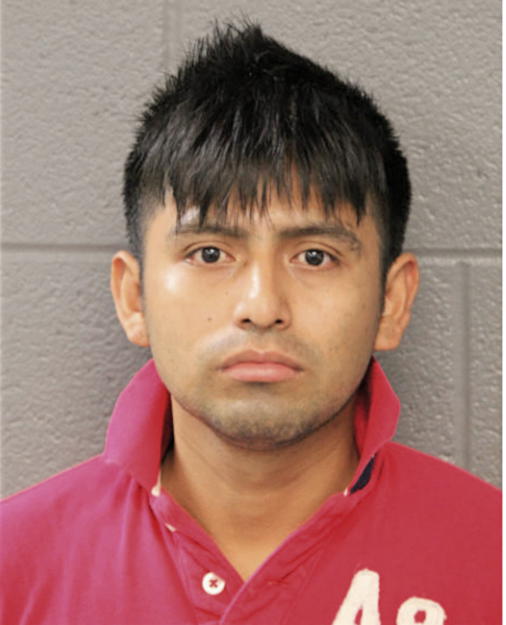 JOSE ANTEMANTE, Cook County, Illinois