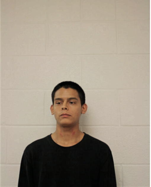 GEORGE S AYALA, Cook County, Illinois