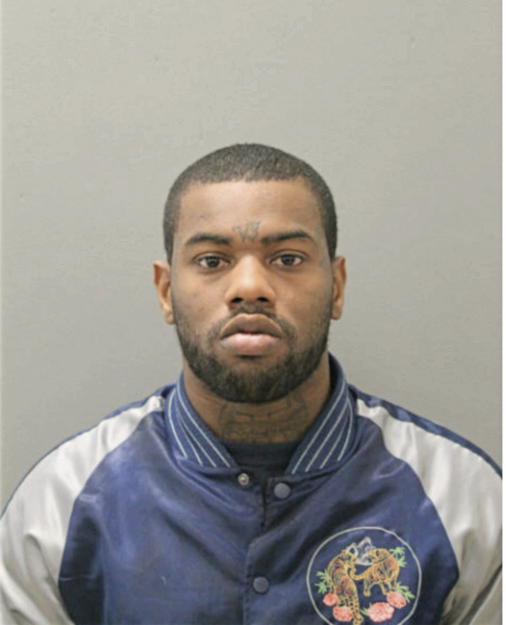 CURTIS D BRADLEY, Cook County, Illinois