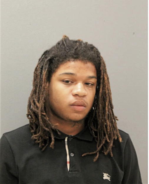 DISHAAN S BUTLER, Cook County, Illinois