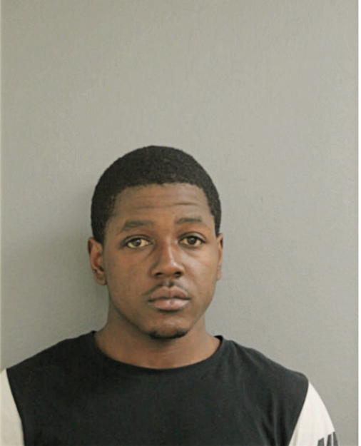 DANIEL J CHISM, Cook County, Illinois