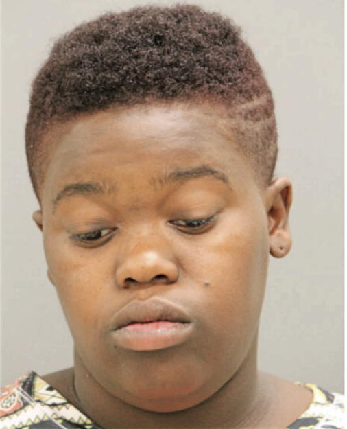 TIERRA J FOINSVILLE, Cook County, Illinois