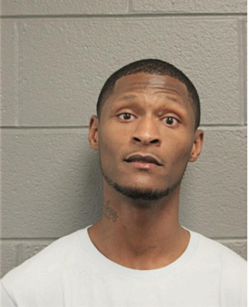 GREGORY L FORD, Cook County, Illinois