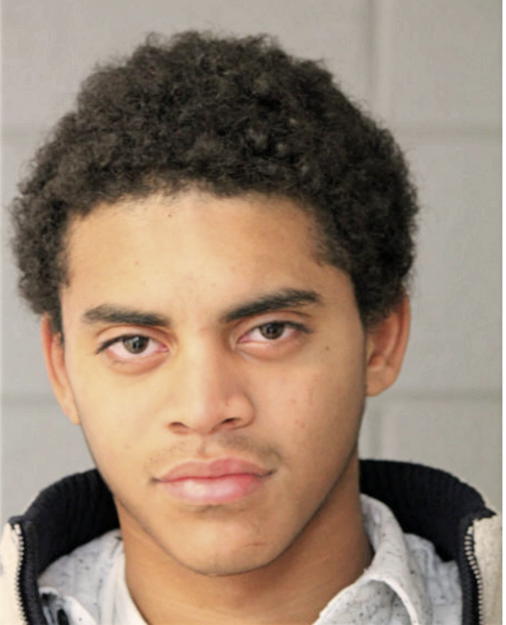 JULIAN D FOUNTAIN, Cook County, Illinois