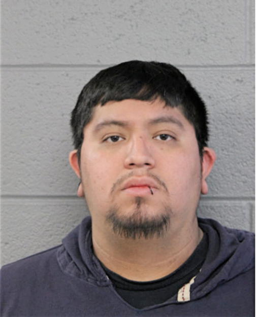 JOSE L GONZALEZ, Cook County, Illinois