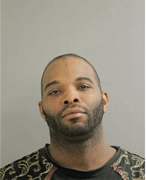 DAVID C GRAY, Cook County, Illinois
