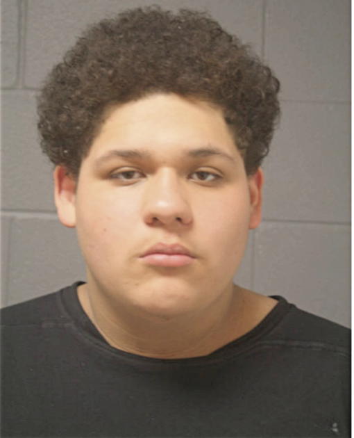 CARLOS GUZMAN, Cook County, Illinois
