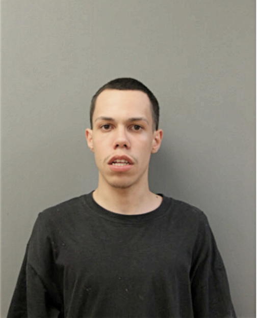 LUIS R HERNANDEZ, Cook County, Illinois