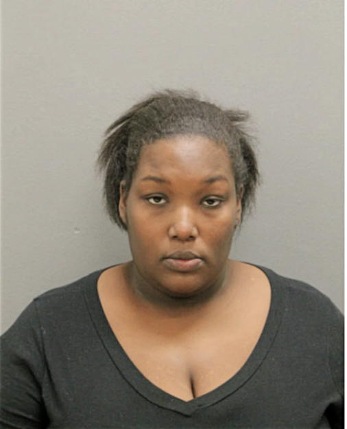 DIANE L HOLMAN, Cook County, Illinois