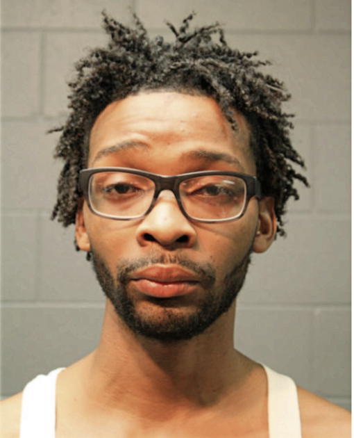 ADAM G HUBBARD, Cook County, Illinois