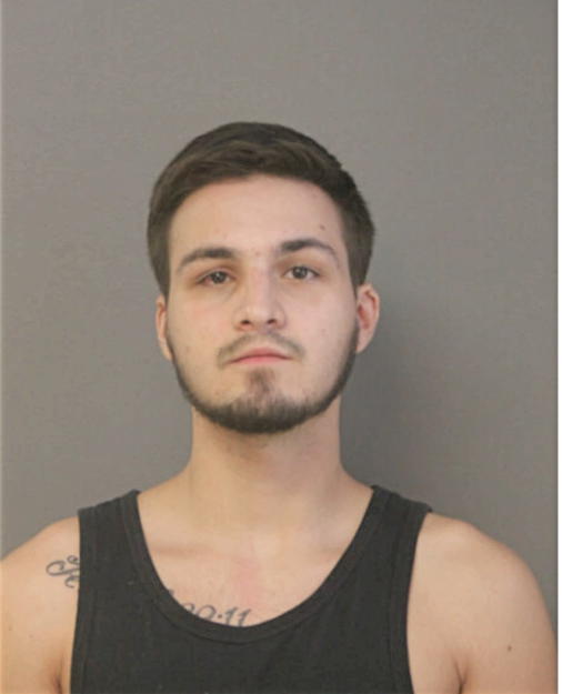 ANTHONY E IMBURGIA, Cook County, Illinois