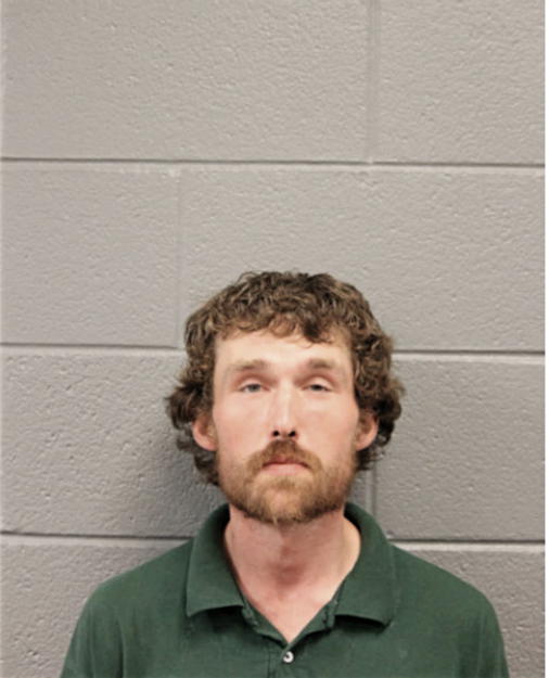 MICHAEL T IMKE, Cook County, Illinois