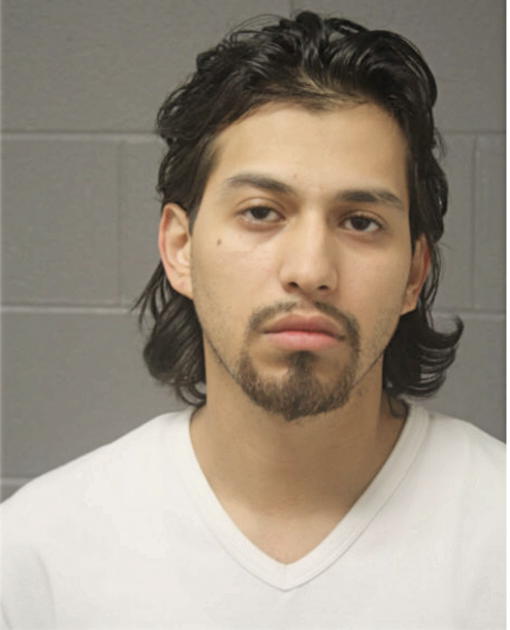 MIGUEL A ISLAS, Cook County, Illinois