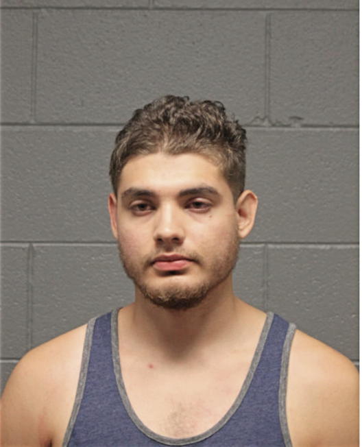 ALEC LEON, Cook County, Illinois