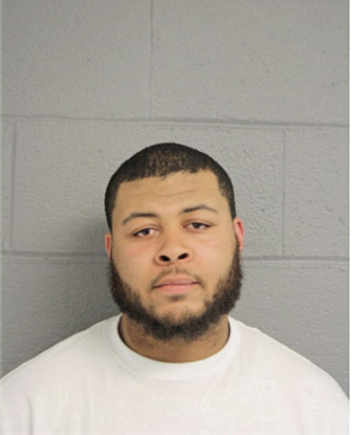 STEVEN J MCINTOSH, Cook County, Illinois