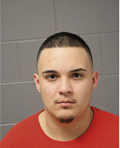 GREGORIO MEDINA, Cook County, Illinois