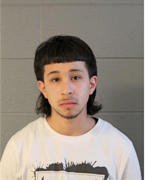 DAVID ORTEGA, Cook County, Illinois